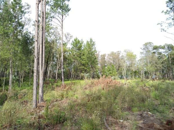 Area em Porto Alegre, no bairro Lomba do Pinheiro, à venda. — foto 6