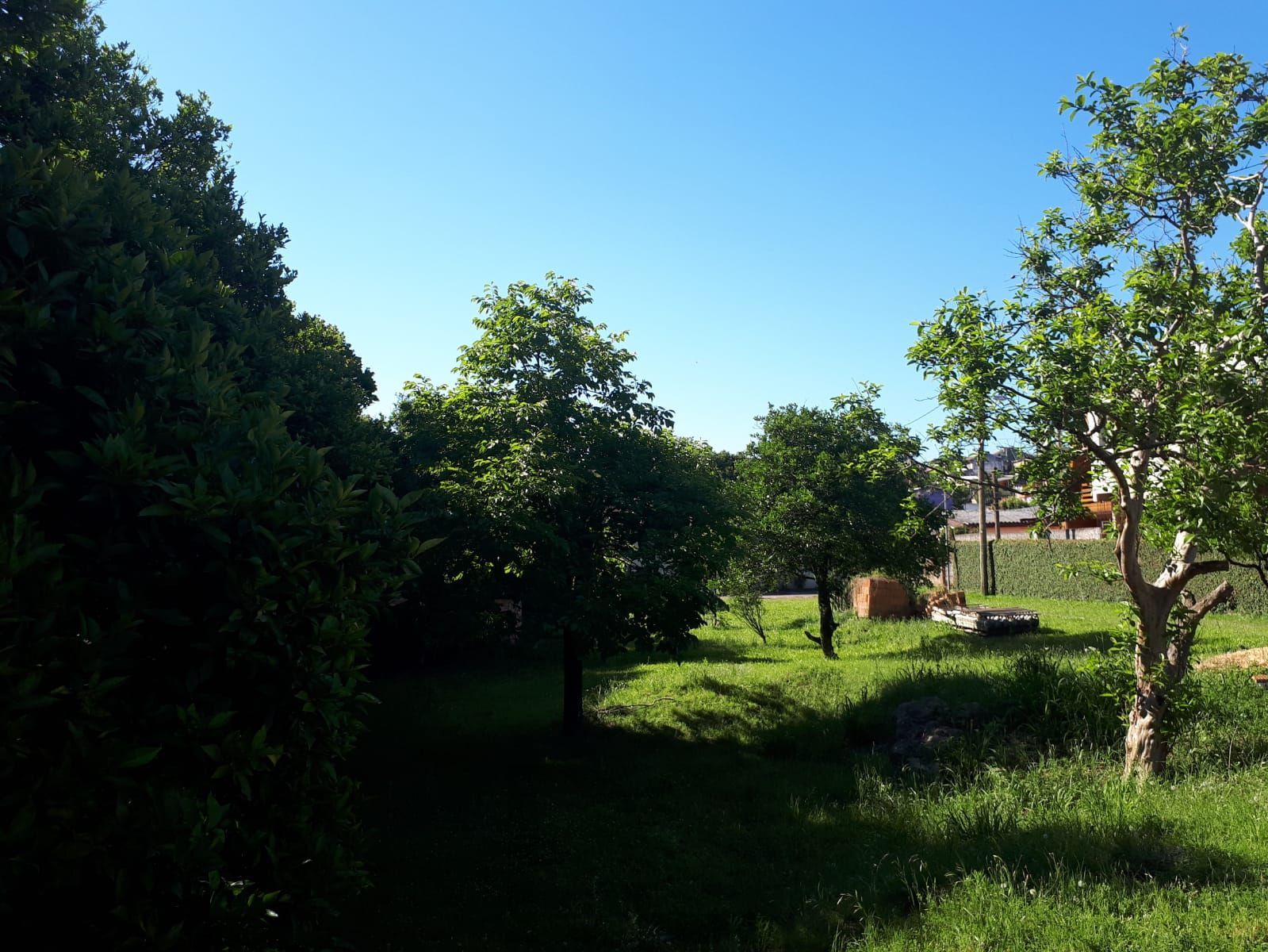 Amplo terreno à venda com 1440m² — foto 2