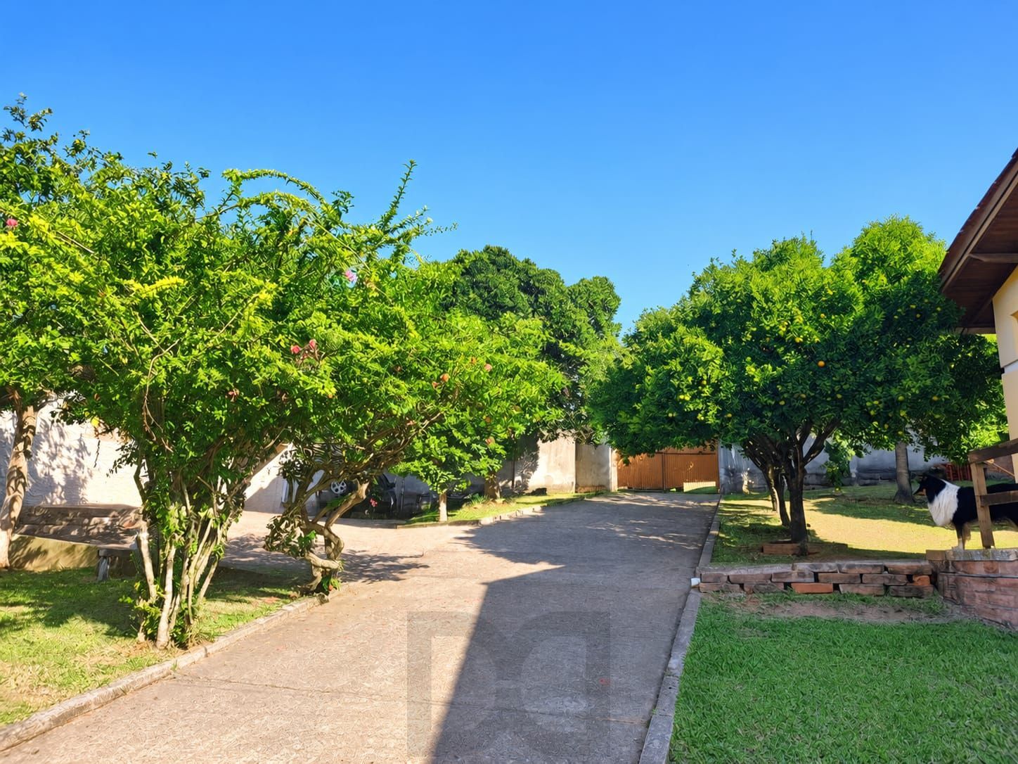 Sitio na Hipica — foto 2