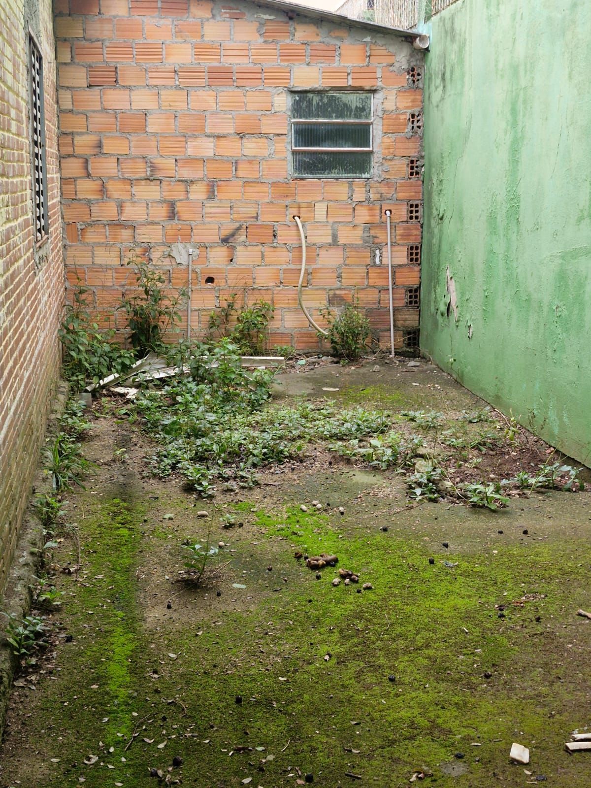  — foto 3
