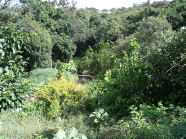 Casa com 5 Dormitórios, Salão de Festas e Terreno de 11,6 x 115m – Belém Velho — foto 44