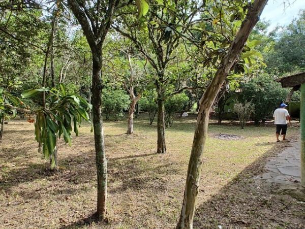 Sítio em Porto Alegre, no bairro São Caetano, à venda. — foto 6
