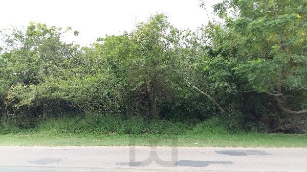 Terreno para Venda - 0m², 0 dormitórios, Lami — foto 2
