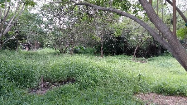 Terreno para Venda - 0m², 0 dormitórios, Lami — foto 7