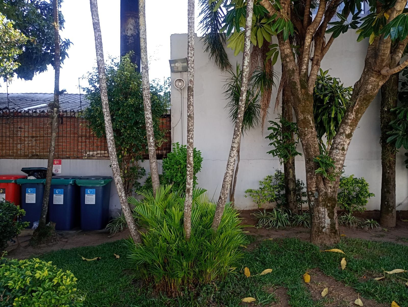  — foto 5