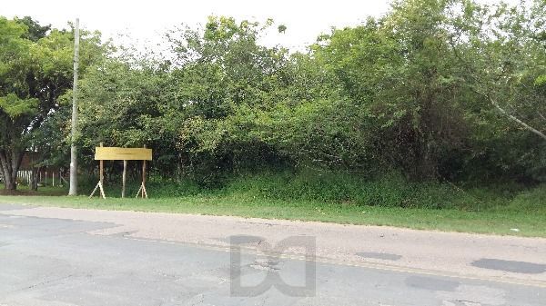 Terreno para Venda - 0m², 0 dormitórios, Lami — foto 3