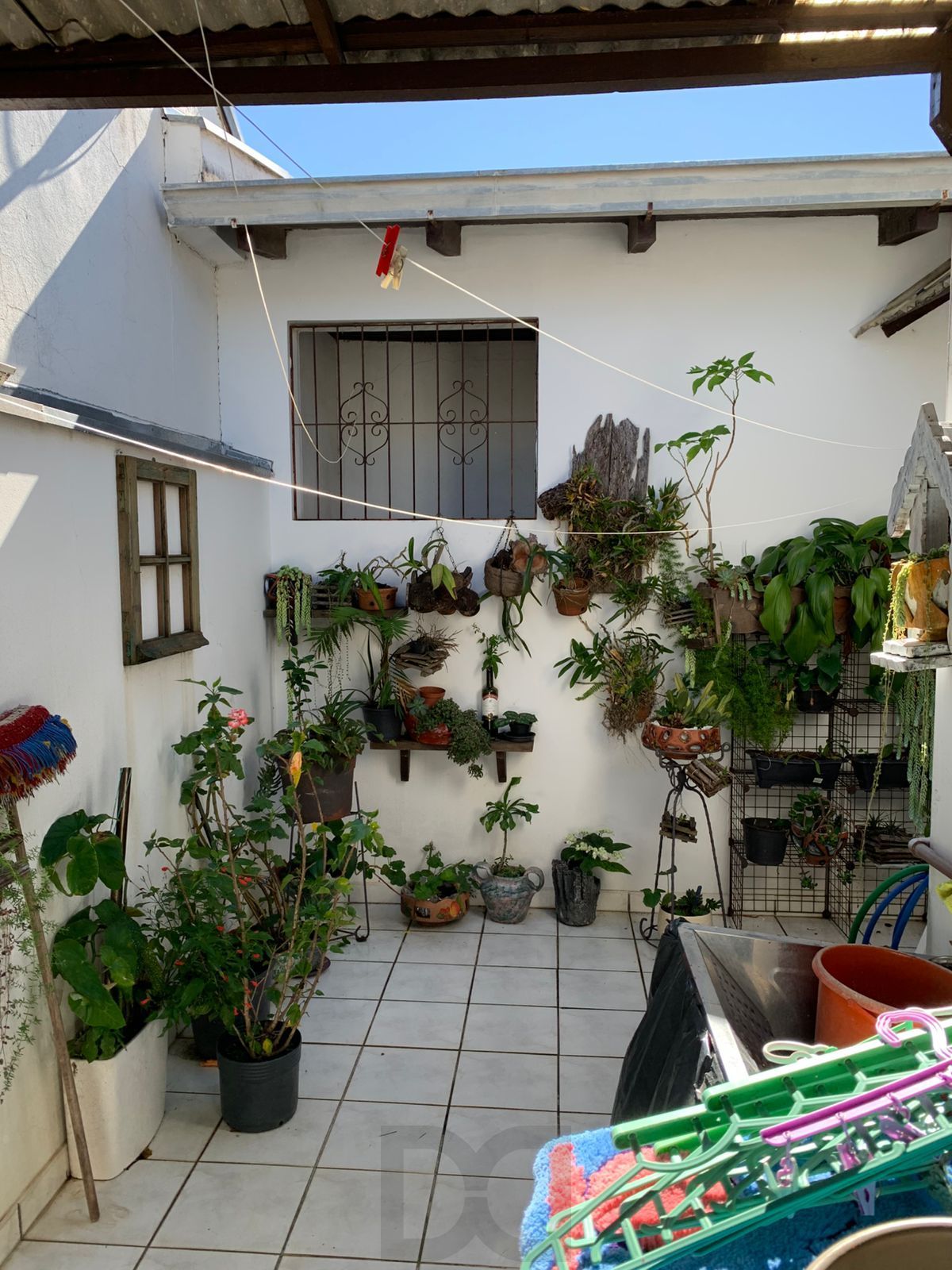 — foto 6