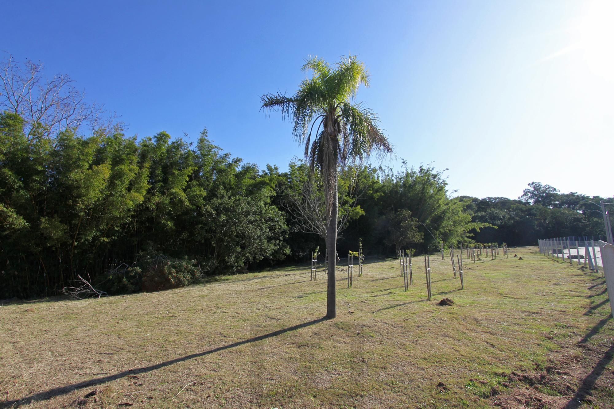 Condomínio Ilha Verde, excelente terreno de esquina — foto 17