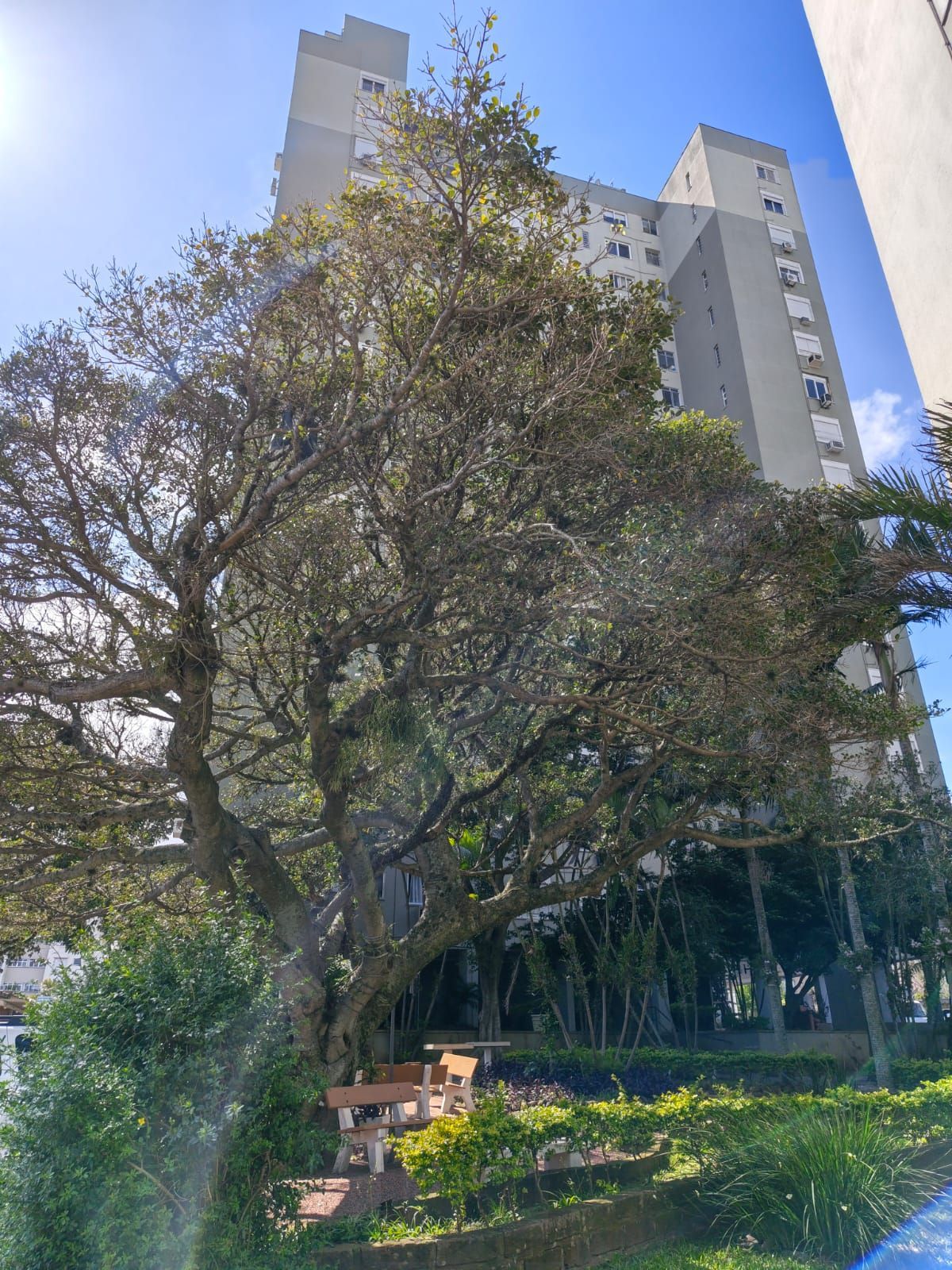 Apartamento de 1 Dormitório com garagem escriturada — foto 22