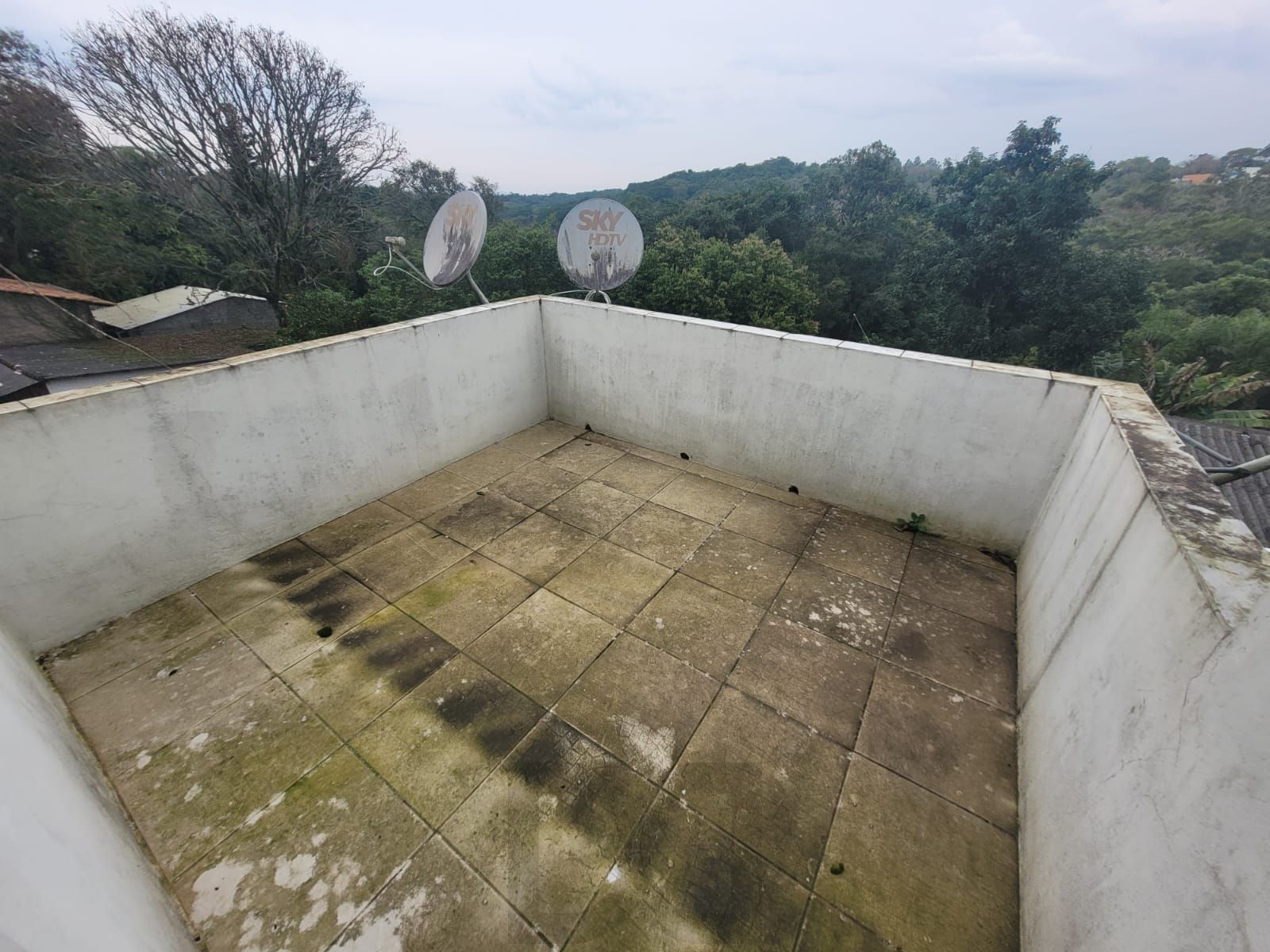 Casa com 5 Dormitórios, Salão de Festas e Terreno de 11,6 x 115m – Belém Velho — foto 29