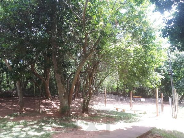 Apartamento para Venda - 39.03m², 2 dormitórios, 1 vaga - Campo Novo — foto 16