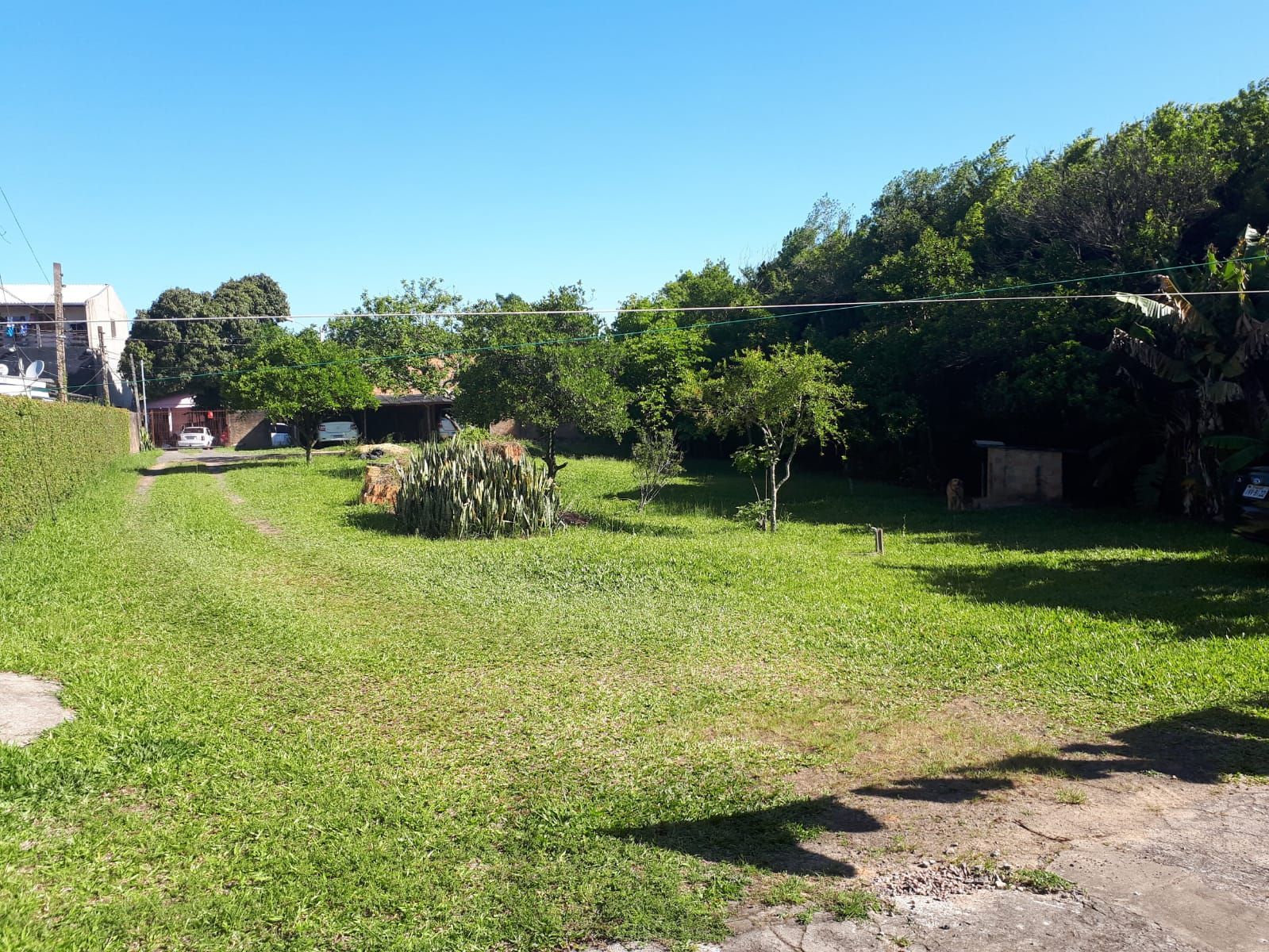 Amplo terreno à venda com 1440m² — foto 9