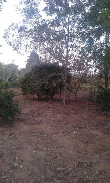 Area em Porto Alegre, no bairro Restinga, à venda. — foto 7