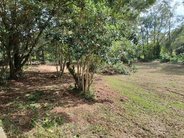 Sítio em Porto Alegre, no bairro São Caetano, à venda. — foto 2
