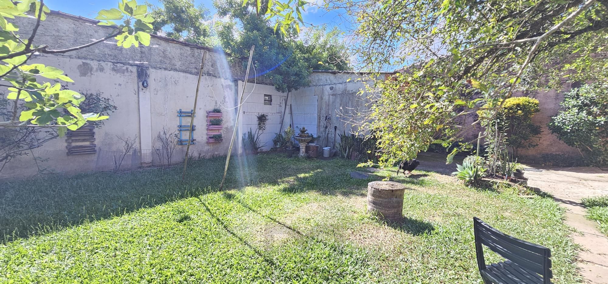 — foto 28