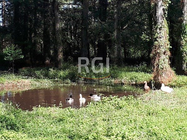Sítio para Venda - 364m², 3 dormitórios, sendo 1 suites, 2 vagas - São Caetano — foto 21