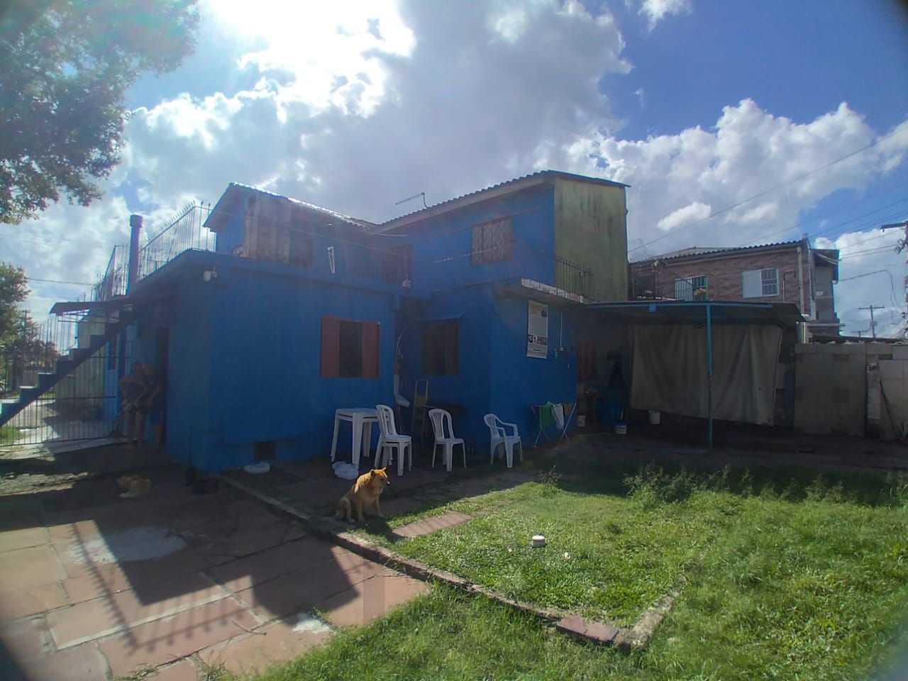 — foto 1