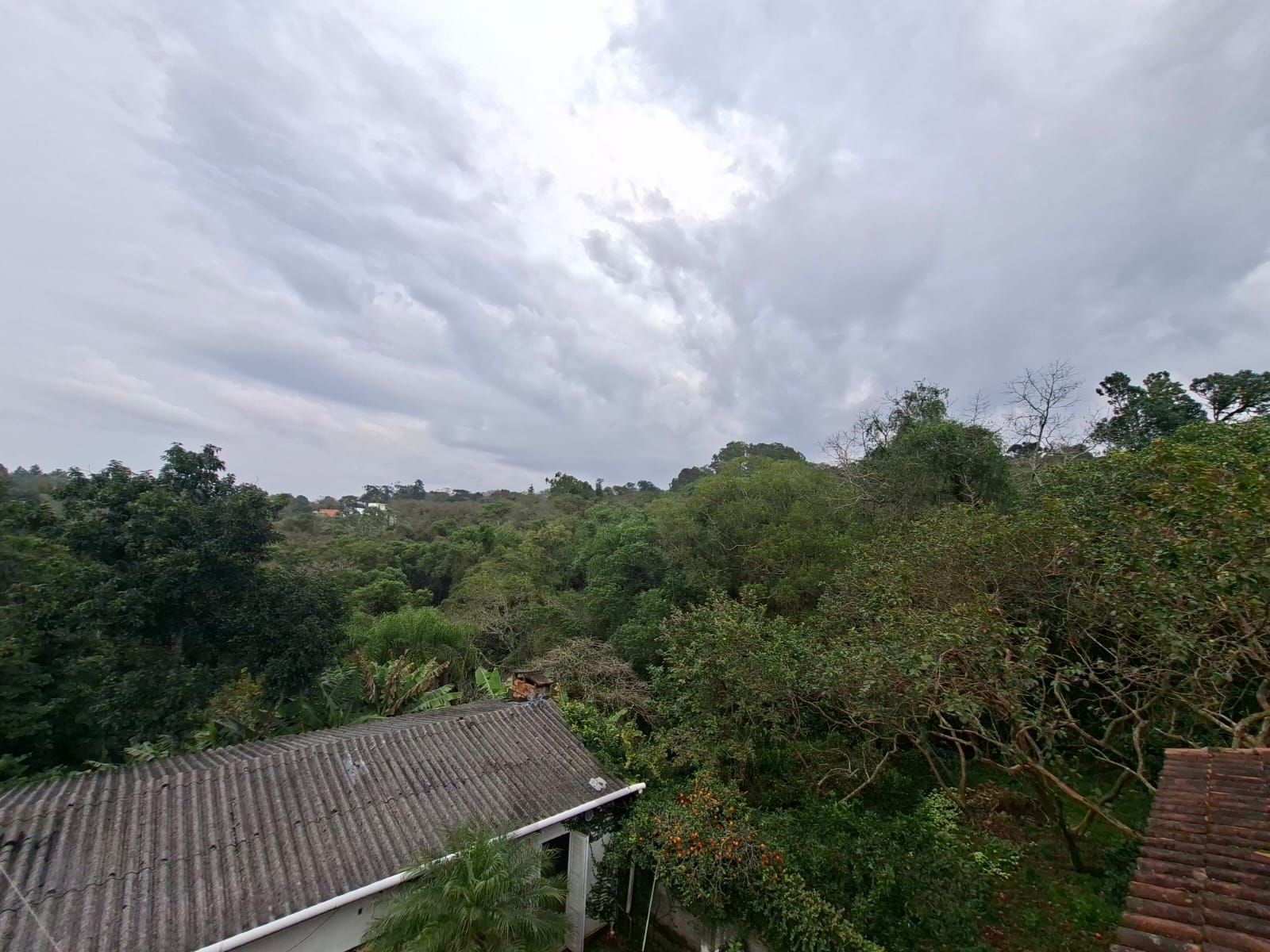 Casa com 5 Dormitórios, Salão de Festas e Terreno de 11,6 x 115m – Belém Velho — foto 38