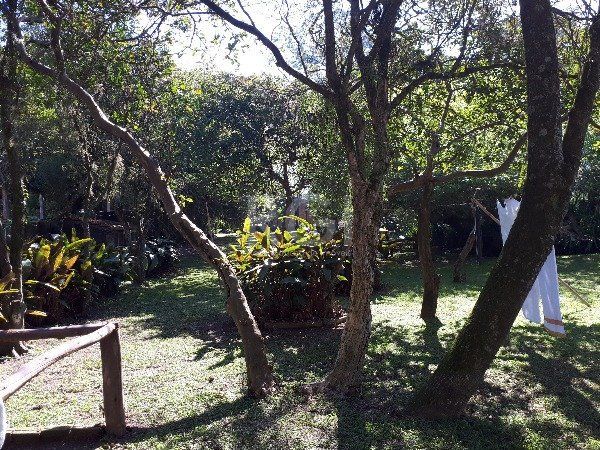 Sítio para Venda - 150m², 3 dormitórios, Belém Novo — foto 8