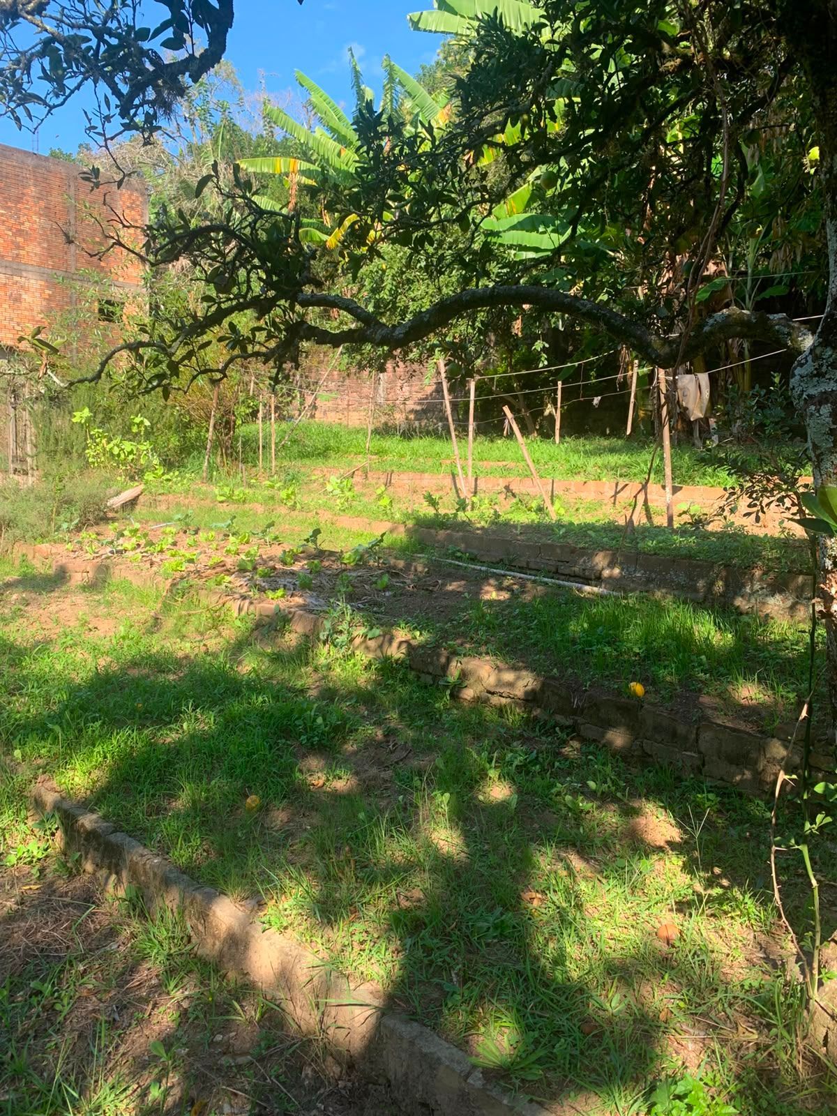  — foto 16