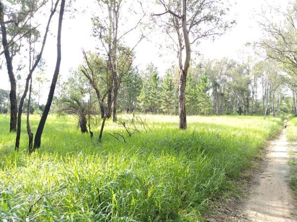 Area em Porto Alegre, no bairro Lomba do Pinheiro, à venda. — foto 14