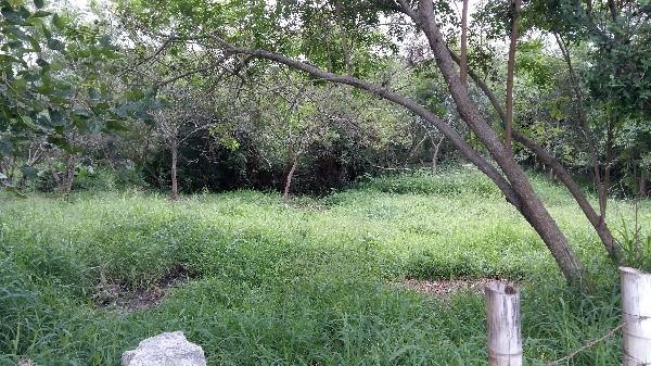 Terreno para Venda - 0m², 0 dormitórios, Lami — foto 1