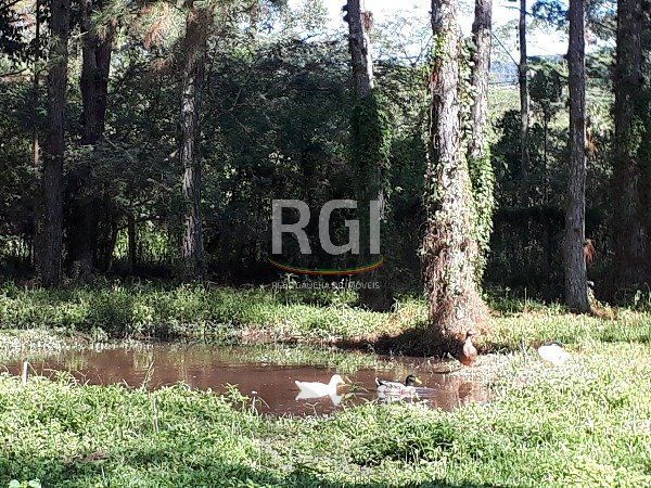 Sítio para Venda - 364m², 3 dormitórios, sendo 1 suites, 2 vagas - São Caetano — foto 19