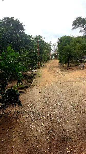 Area em Porto Alegre, no bairro Restinga, à venda. — foto 9