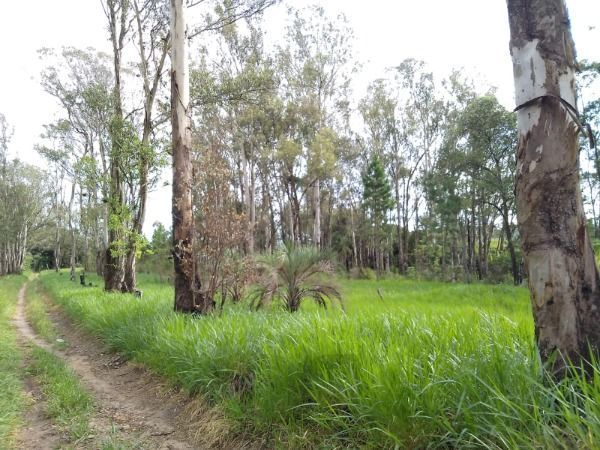 Area em Porto Alegre, no bairro Lomba do Pinheiro, à venda. — foto 9