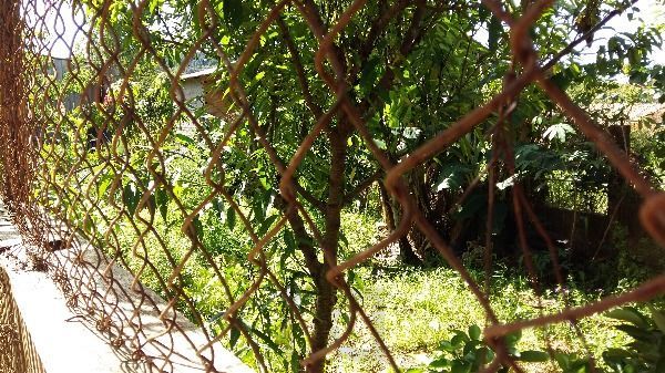 Casa para Venda - 100m², 3 dormitórios, 6 vagas - Hípica — foto 13
