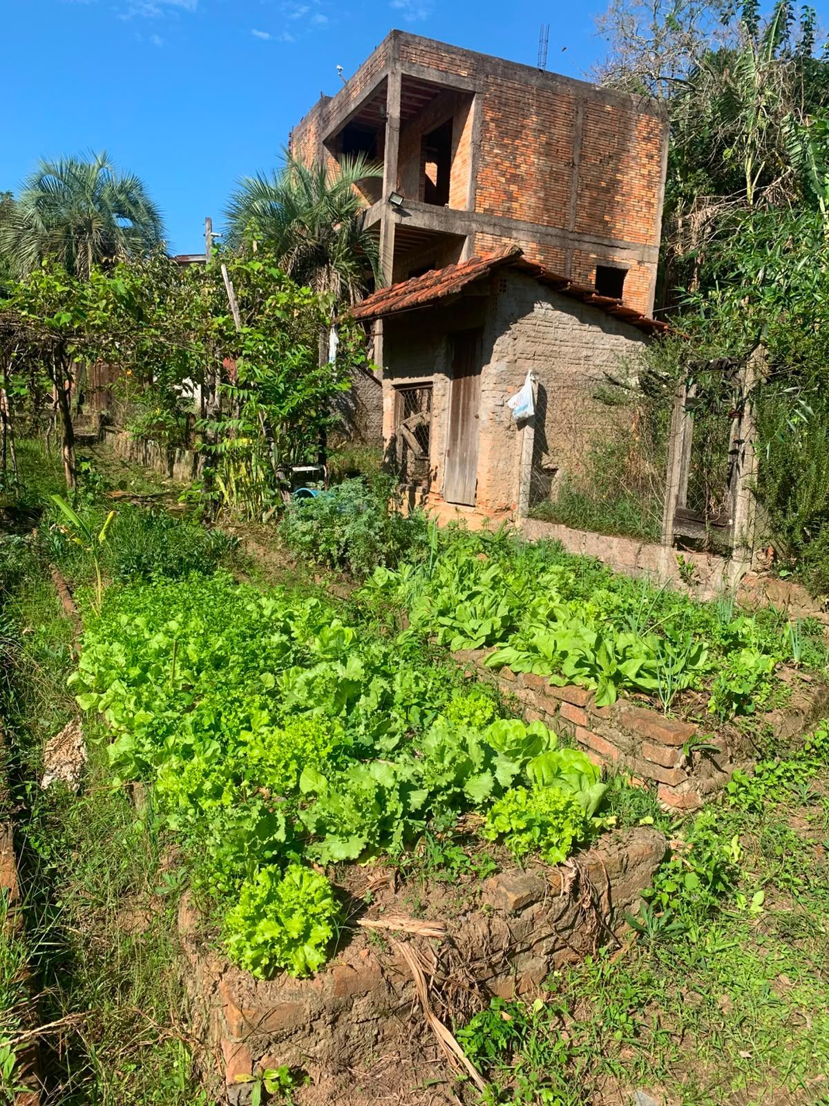  — foto 21