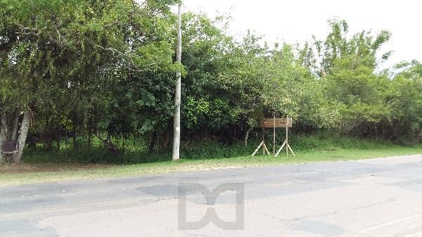 Terreno para Venda - 0m², 0 dormitórios, Lami — foto 5