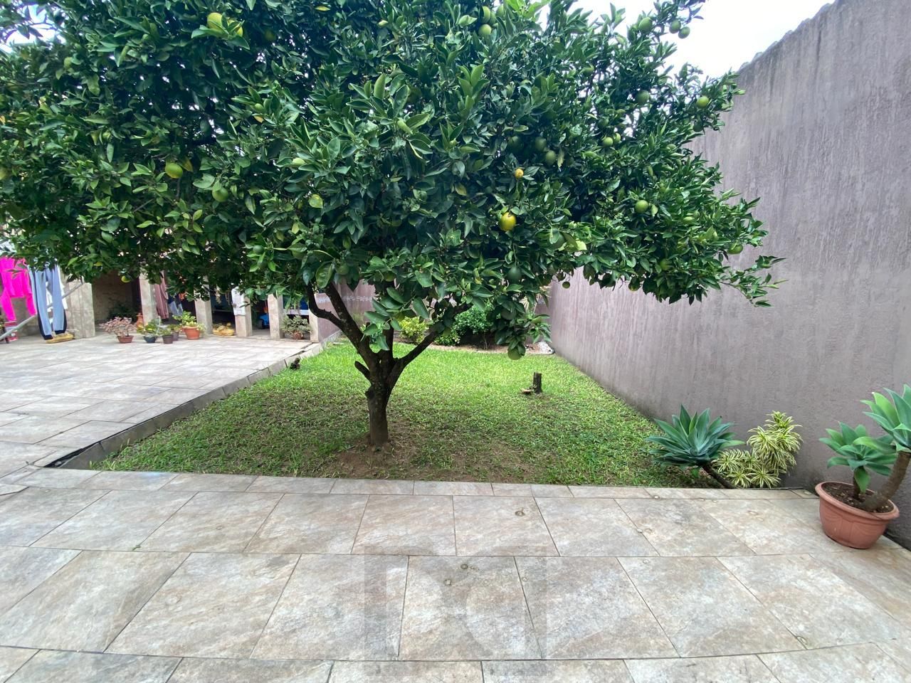  — foto 15