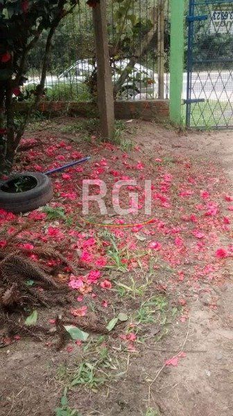 — foto 8