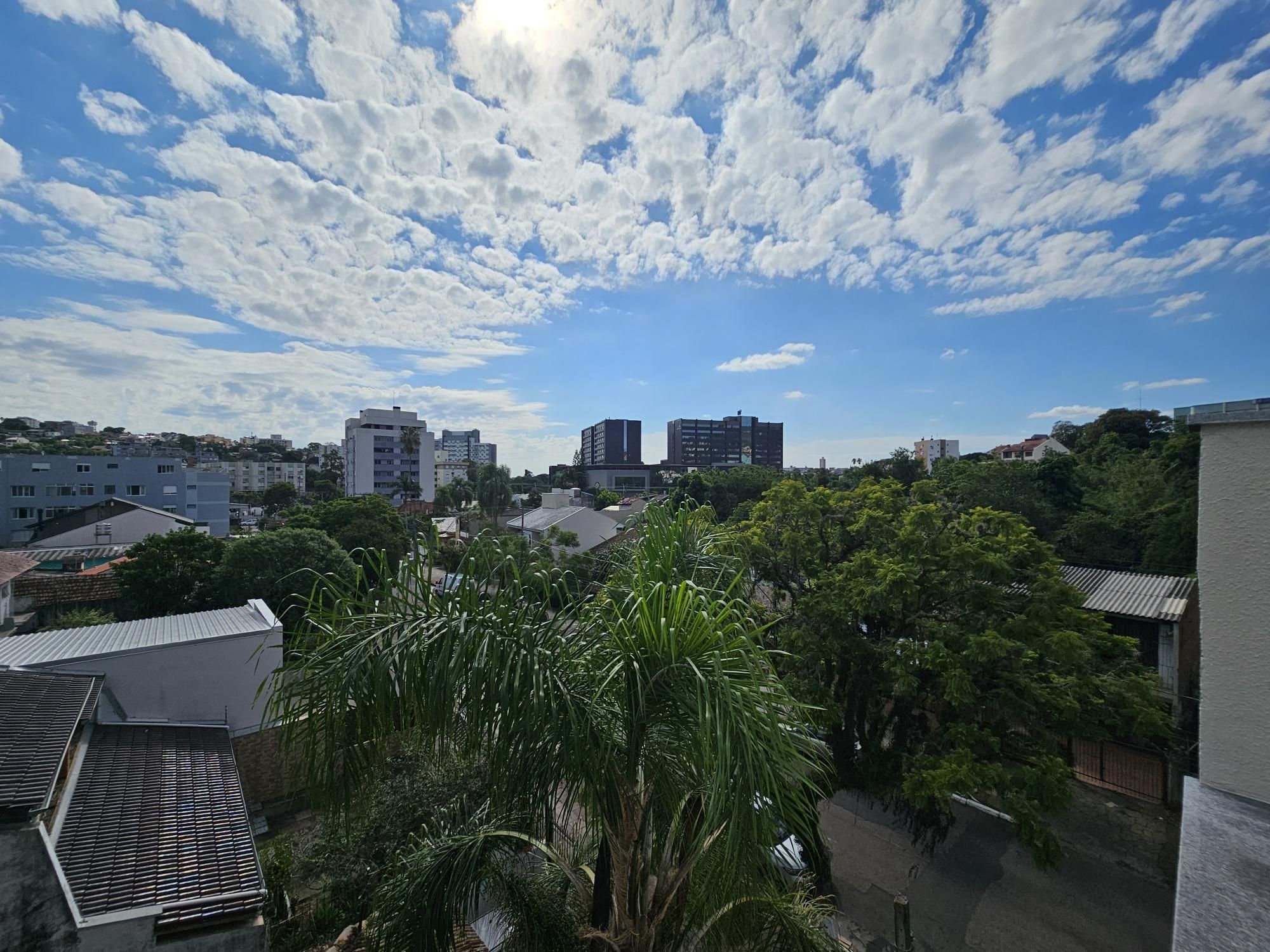 — foto 20