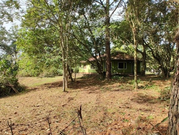 Sítio em Porto Alegre, no bairro São Caetano, à venda. — foto 3
