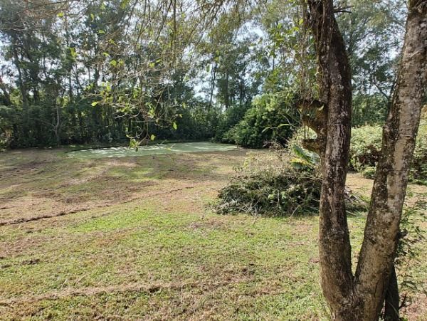 Sítio em Porto Alegre, no bairro São Caetano, à venda. — foto 4
