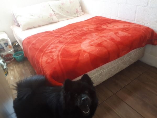 Apartamento para Venda - 39.03m², 2 dormitórios, 1 vaga - Campo Novo — foto 12