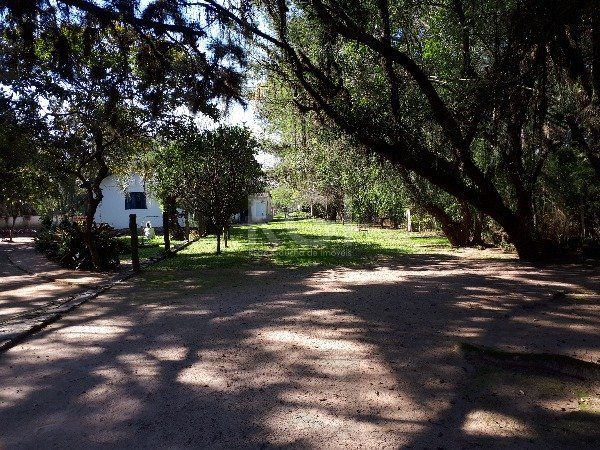 Sítio para Venda - 150m², 3 dormitórios, Belém Novo — foto 13