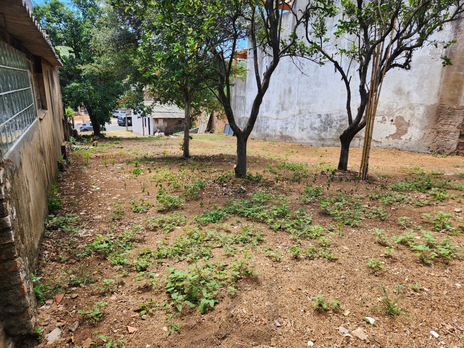 Terreno na Vila Nova — foto 7