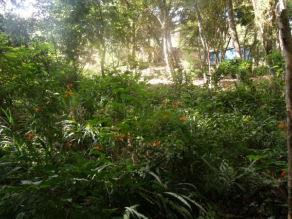Casa com 5 Dormitórios, Salão de Festas e Terreno de 11,6 x 115m – Belém Velho — foto 45