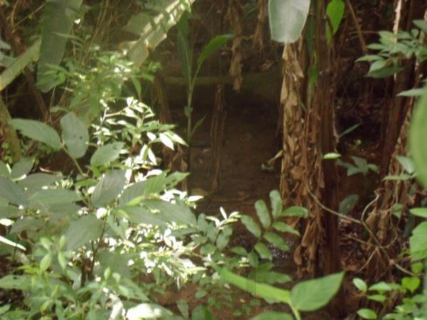 Casa com 5 Dormitórios, Salão de Festas e Terreno de 11,6 x 115m – Belém Velho — foto 47