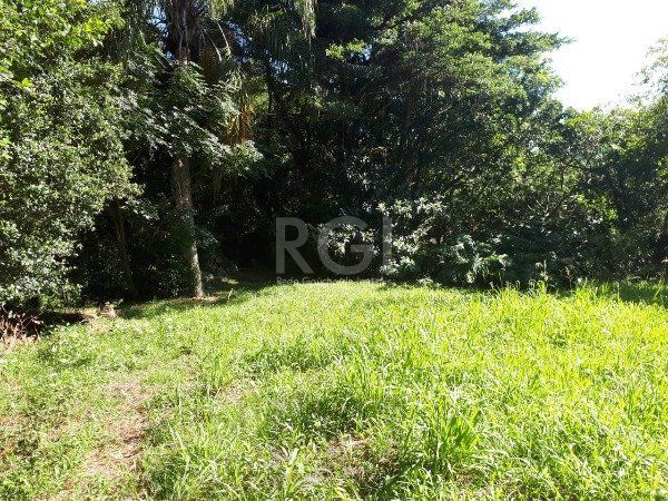 Terreno para Venda - 2067m², 0 dormitórios, Aberta dos Morros — foto 9