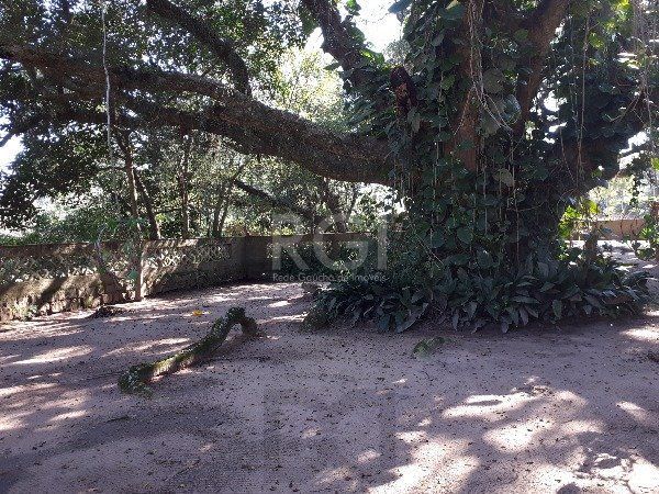 Sítio para Venda - 150m², 3 dormitórios, Belém Novo — foto 18