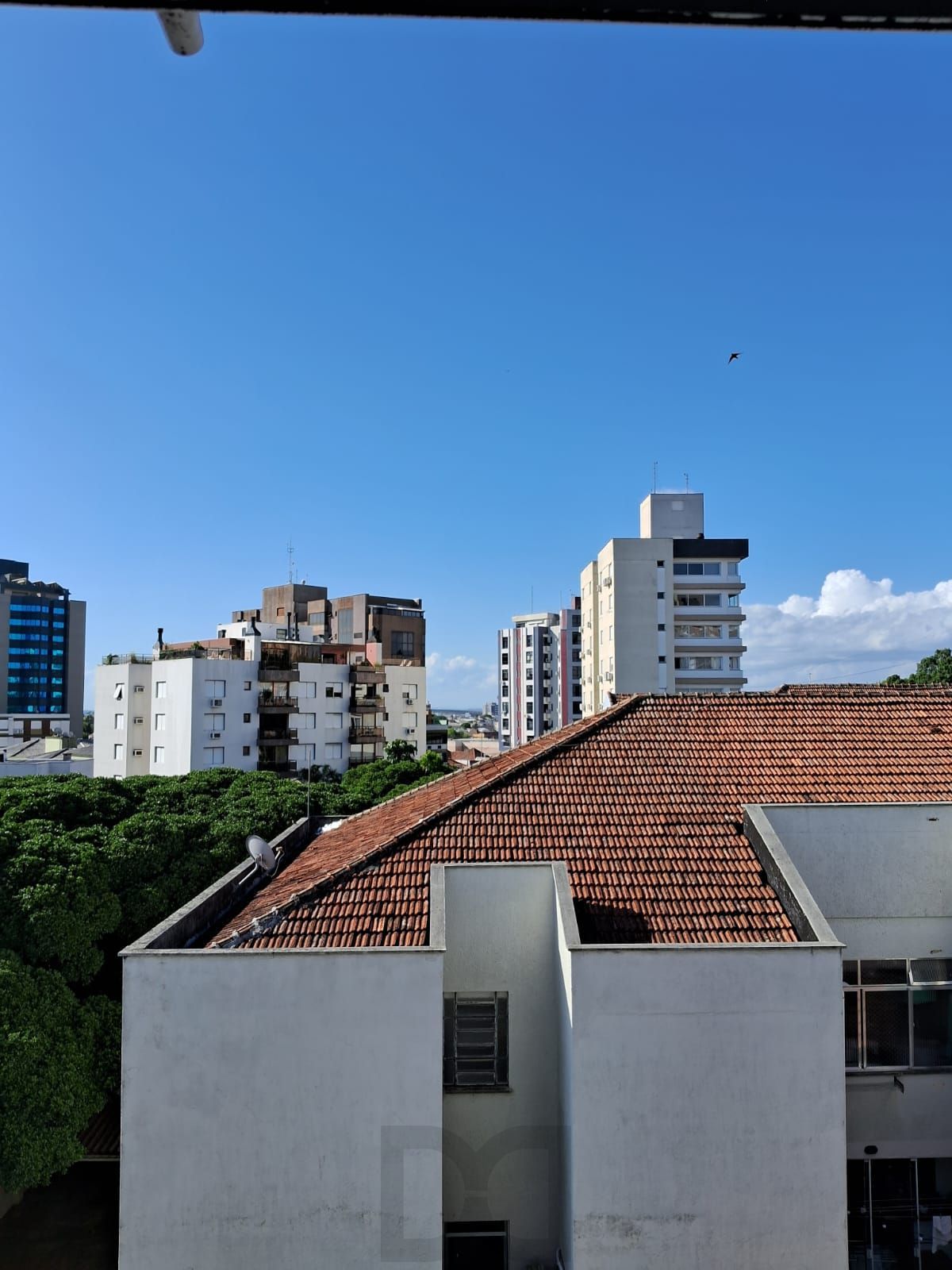 🏡✨ EXCELENTE APARTAMENTO À VENDA NA RUA FELICÍSSIMO DE AZEVEDO - SÃO JOÃO ✨🏡 — foto 3