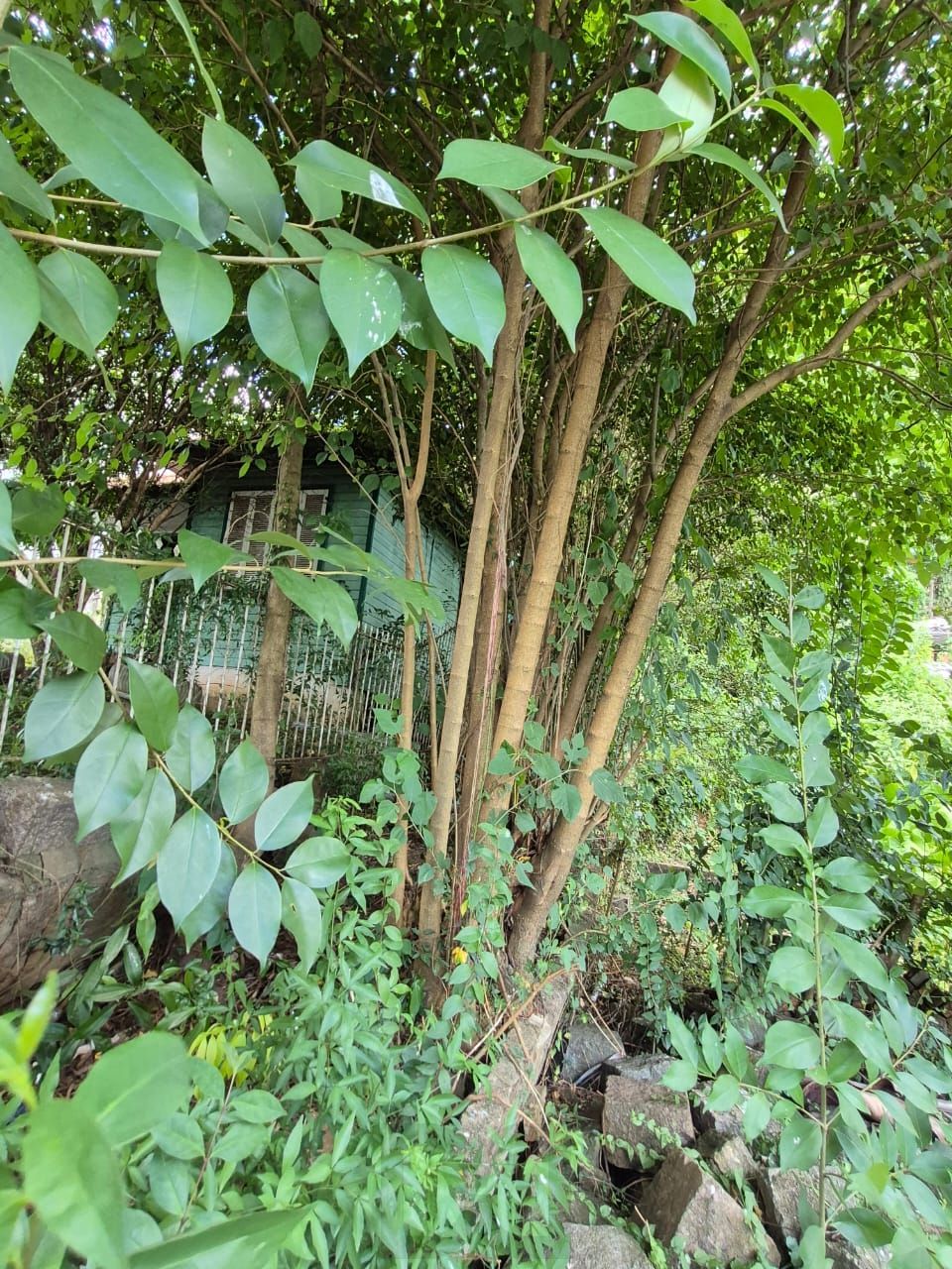 📍 EXCELENTE OPORTUNIDADE DE TERRENO – LOCALIZAÇÃO ESTRATÉGICA! — foto 10