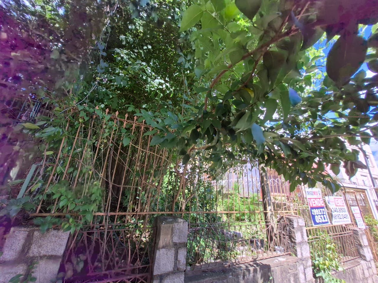 📍 EXCELENTE OPORTUNIDADE DE TERRENO – LOCALIZAÇÃO ESTRATÉGICA! — foto 6