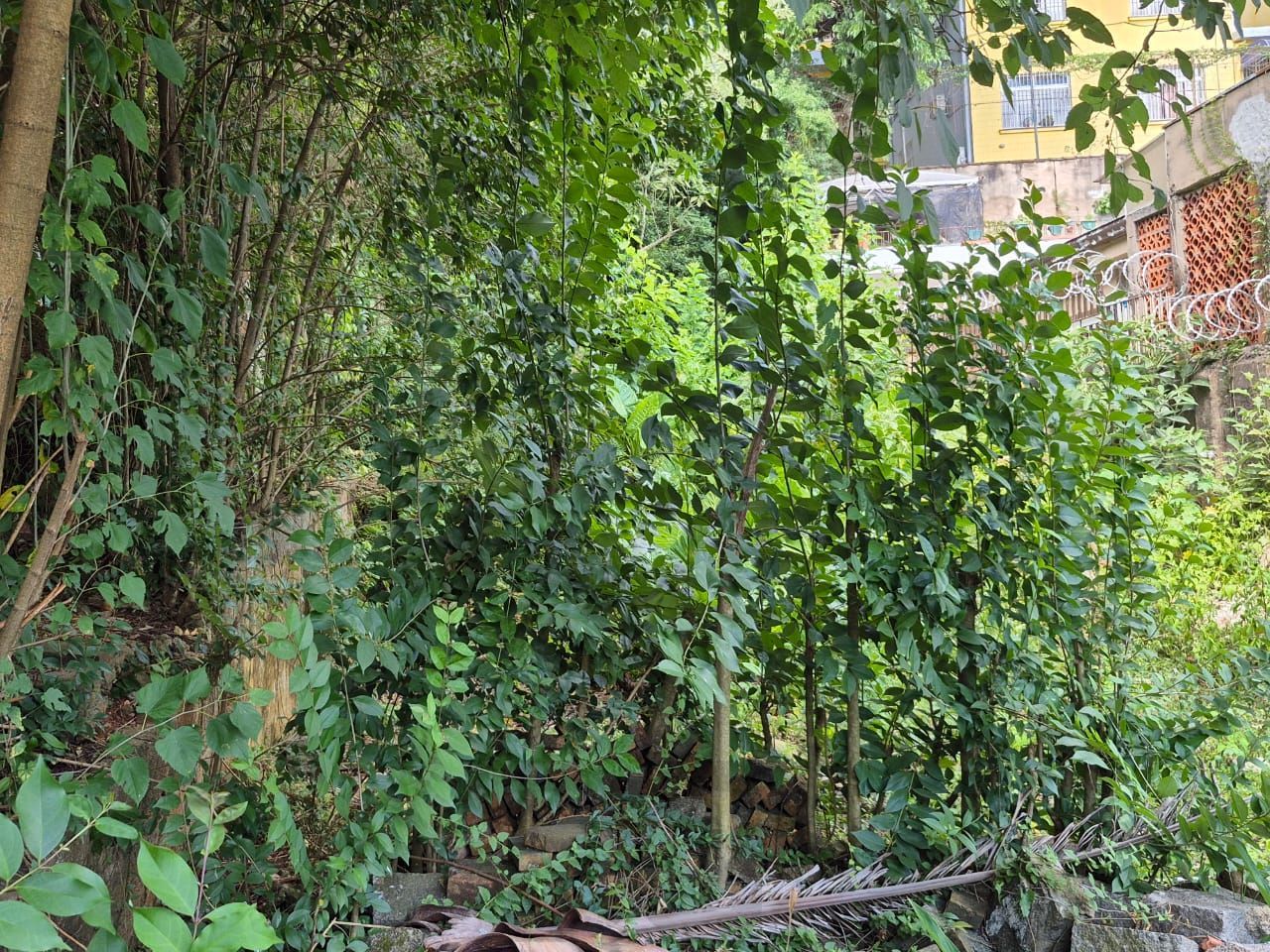 📍 EXCELENTE OPORTUNIDADE DE TERRENO – LOCALIZAÇÃO ESTRATÉGICA! — foto 9