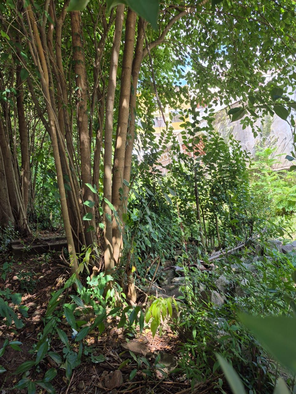 📍 EXCELENTE OPORTUNIDADE DE TERRENO – LOCALIZAÇÃO ESTRATÉGICA! — foto 20