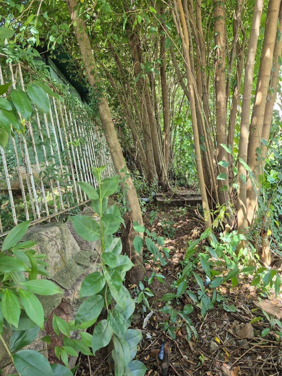 📍 EXCELENTE OPORTUNIDADE DE TERRENO – LOCALIZAÇÃO ESTRATÉGICA! — foto 22